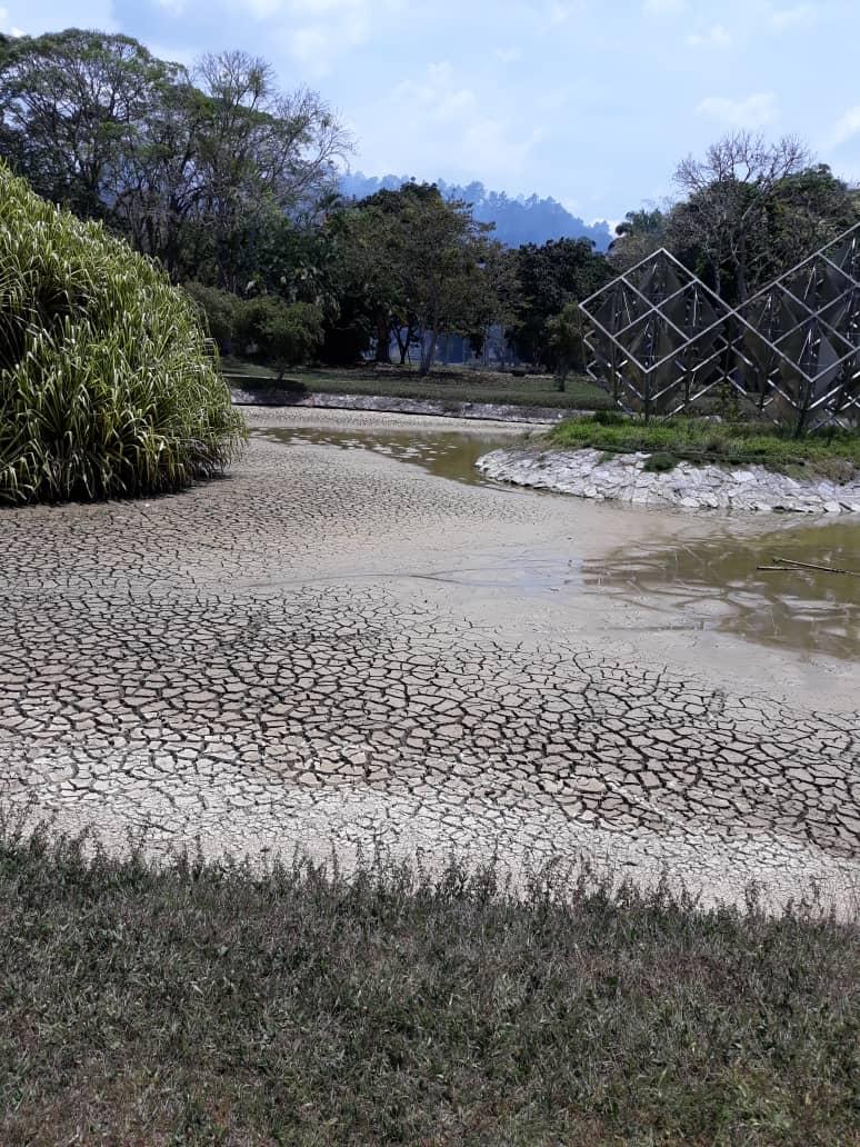 Randy 🦁🇻🇪 tweet media