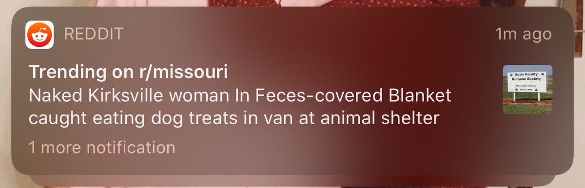 krhutcheson's tweet image. #DistinctByDesign