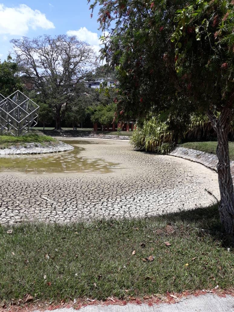 Randy 🦁🇻🇪 tweet media