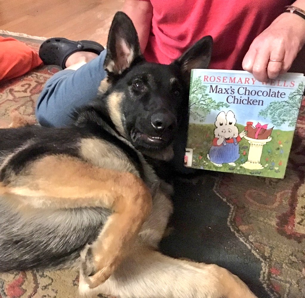 APLDeborahK's tweet photo. Today's edition of Ms. Cindy and Teddy read together features MAX'S CHOCOLATE CHICKEN by Rosemary Wells. During an egg hunt, all Max wants to eat chocolare (who can blame him?) but his sister Ruby has other ideas for them. ๐ฐ #APLReads https://t.co/Bpj2NflpR5
