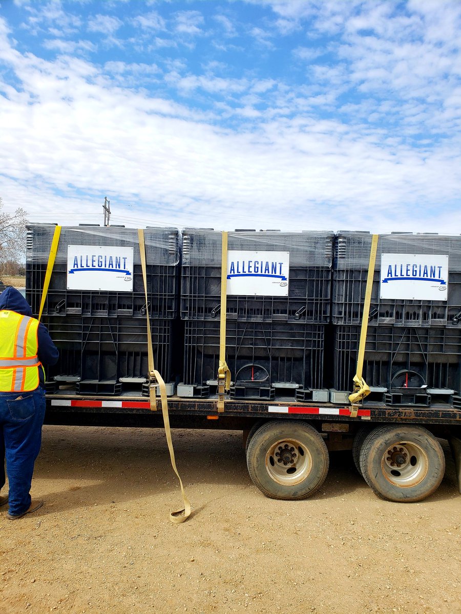 Getting some #Allegiantseed out before the snow this weekend.