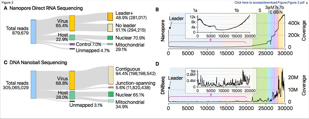 mmw_lmw's tweet photo. #SARSCoV2 | The architecture of the #Transcriptome | Statistics of sequencing data | Hyeshik Chang @IBS_media @CellCellPress https://t.co/W1r01Z91gD https://t.co/zIXLZIWPsv