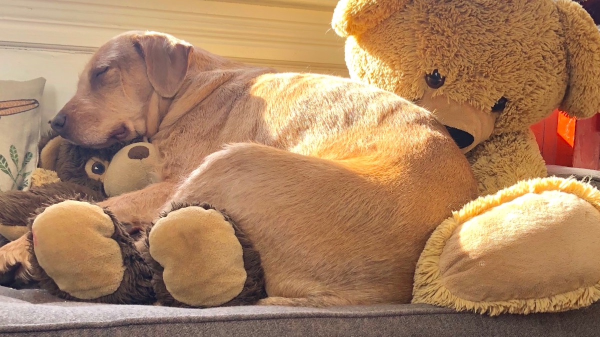 Exercise Ideas from Dr Ken, Clinic service updates - mailchi.mp/acaciahealth/f…