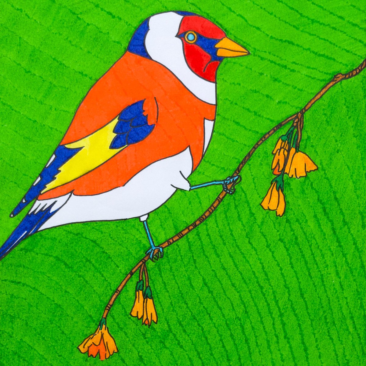 Each work is in ink on paper & is A3 sized (11.7 x 16.4 inches; 29.7 x 42cm)An Irish Goldfinch (2020)