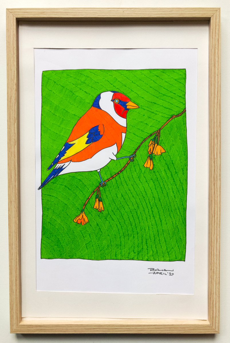 Each work is in ink on paper & is A3 sized (11.7 x 16.4 inches; 29.7 x 42cm)An Irish Goldfinch (2020)