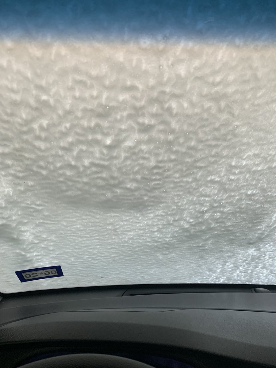 MzStevens4's tweet photo. Taking advantage of the not rainy day and #makingitshine or in this case de-pollening the car. #AEKeepingBusy @AE_Gators https://t.co/Xb4jGA0vAw