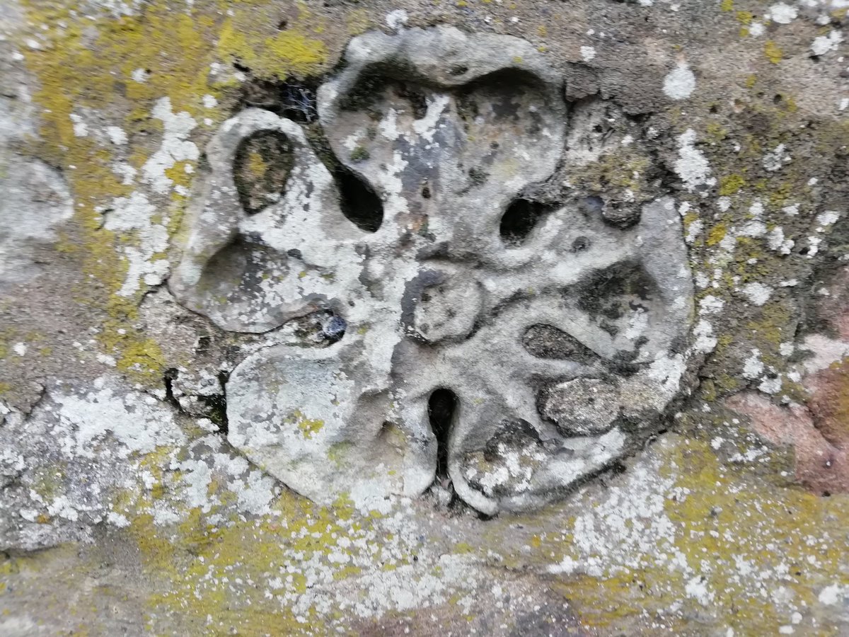Like these wonderful 18th century carved roses, for example, that are embedded and thoroughly camouflaged in the boundary wall of a mid 20th century bungalow in the centre of the town. (2/12)