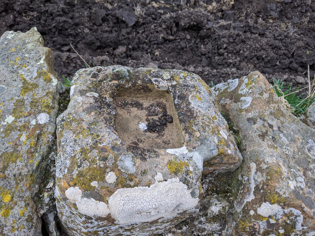 There are so many of them - pieces of window tracery, door frames, carved wall pieces and possible chunks of columns - that they must have come from one or more particularly fabulous high-status local building(s) (7/12)
