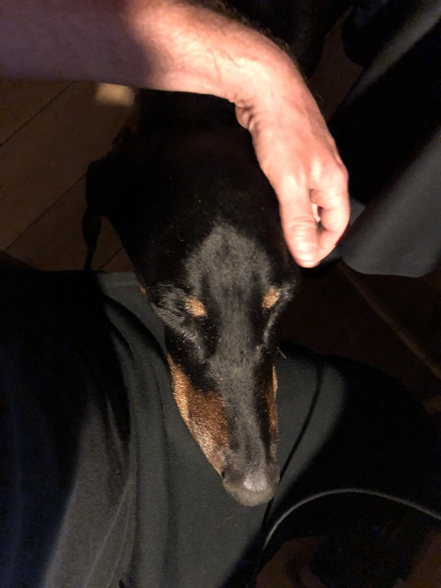 KevCawley's tweet photo. Trying to keep him awake, first heart tablet at midnight for some reason and he has to sleep down stairs tonight because heโs not allowed to climb the stairs! Me and BIG H are keeping him company down stairs tonight! #ladsnightin https://t.co/dapz3Oqhom