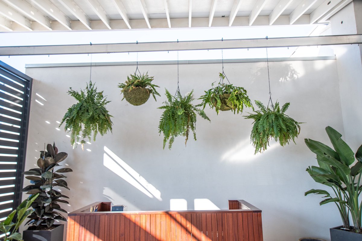 🌱 We’ll be able to dine at the beautiful Canon (@canoneastsac) soon enough, but until then.. you need to #GetYourFixe!
-
📍That’s where we come in. #PickUpFixe was made by Sacramento for Sacramento, and we are working around the clock to get the eaters back in the eateries.