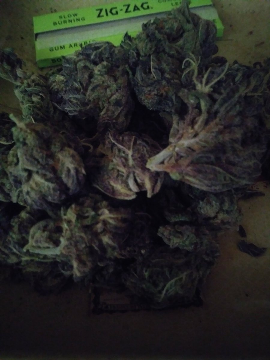 RockinSportz's tweet photo. Ahhh yesss! Everything be Irie now that I've got my meds. #PurpleVooDoo 👅👽🔥🔥 https://t.co/QvGSiaeZ9N