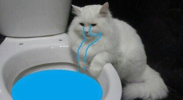 Norueega's tweet photo. mis papás me hicieron con tanto amor, que se les acabo el de ellos. https://t.co/YVUogTXwxd