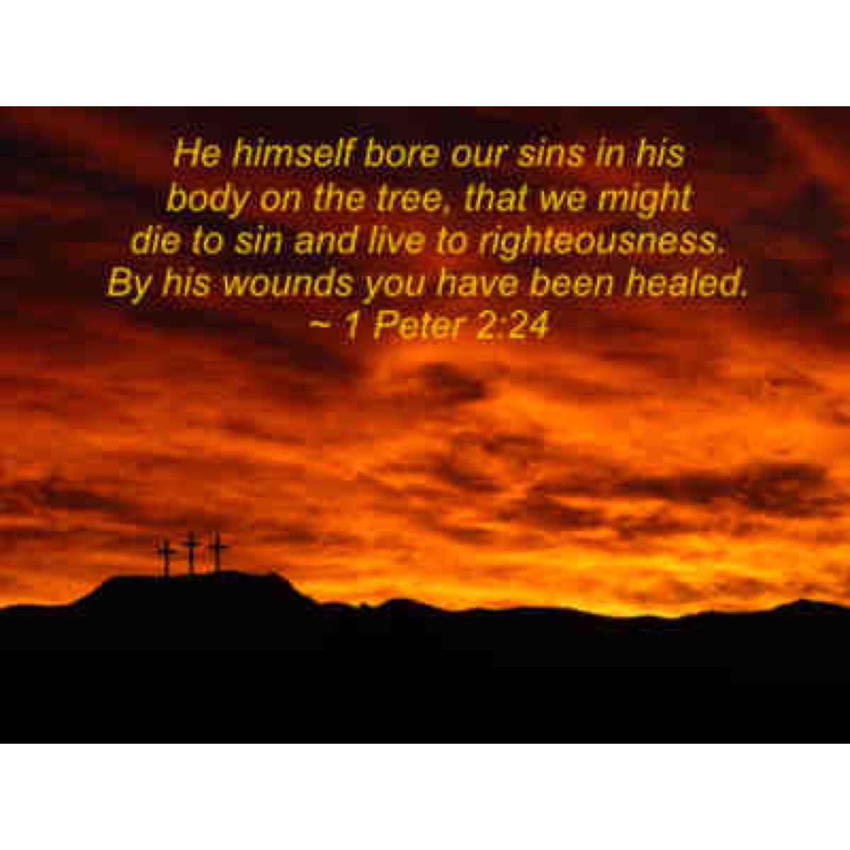 igrowrsa's tweet photo. #BlessingsToAll #GoodFriday #Easter #Jesus #Savior #JesusIsLord #KingOfKings #Christ #ItIsFinished #GodIsGood #Love #IG_RSA https://t.co/MGdaXQHgG5