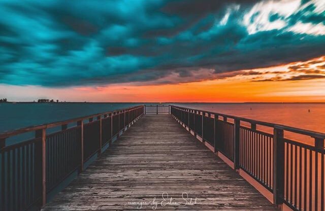 Buffalo Proud tweet media