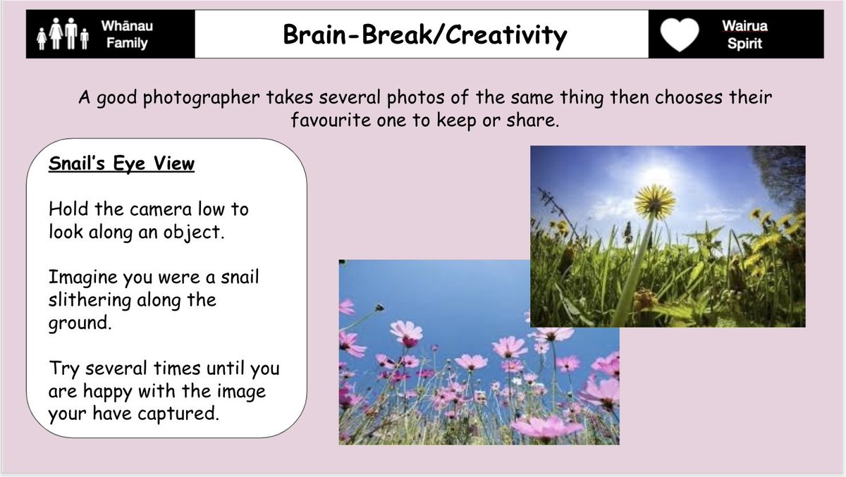 Dorothea Collier tweet media