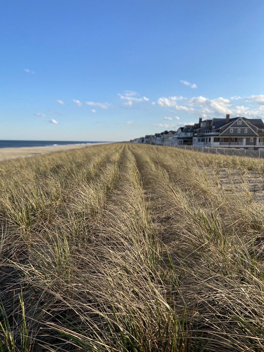 kimicarr's tweet photo. #smART Lesson Day 26 #StayHome and #SpringMeOut @ptbeachsuper #WeRBeach 🏃🏻♀️💨💨week 2: day 2 #ItsAGoodFriday https://t.co/wvO1Cm4Oyi