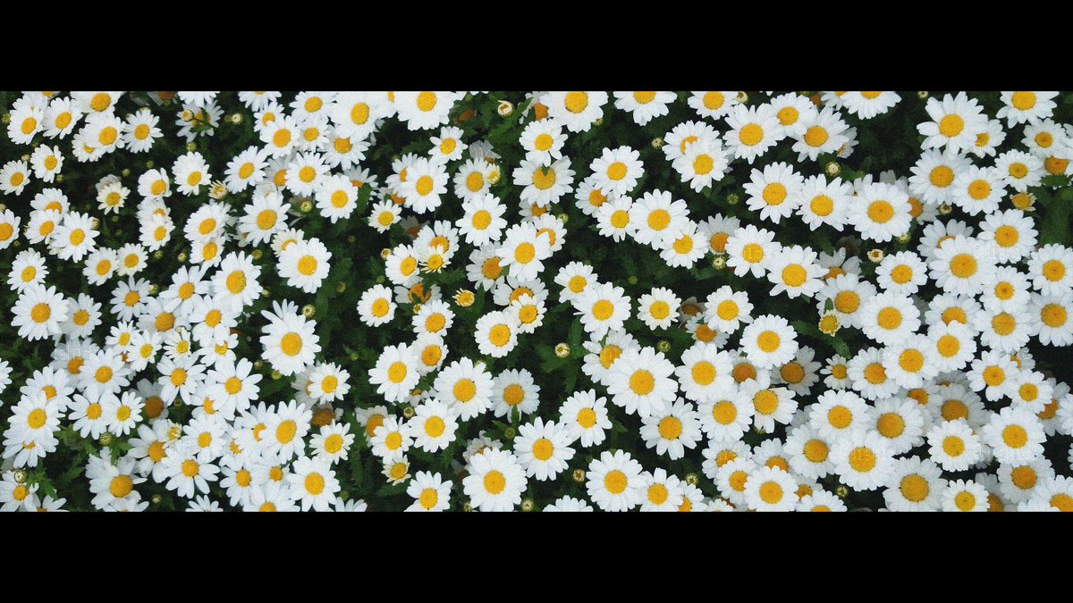 Nishidaflower's tweet photo. 日々
#写真
#photography https://t.co/GbREjHC29D