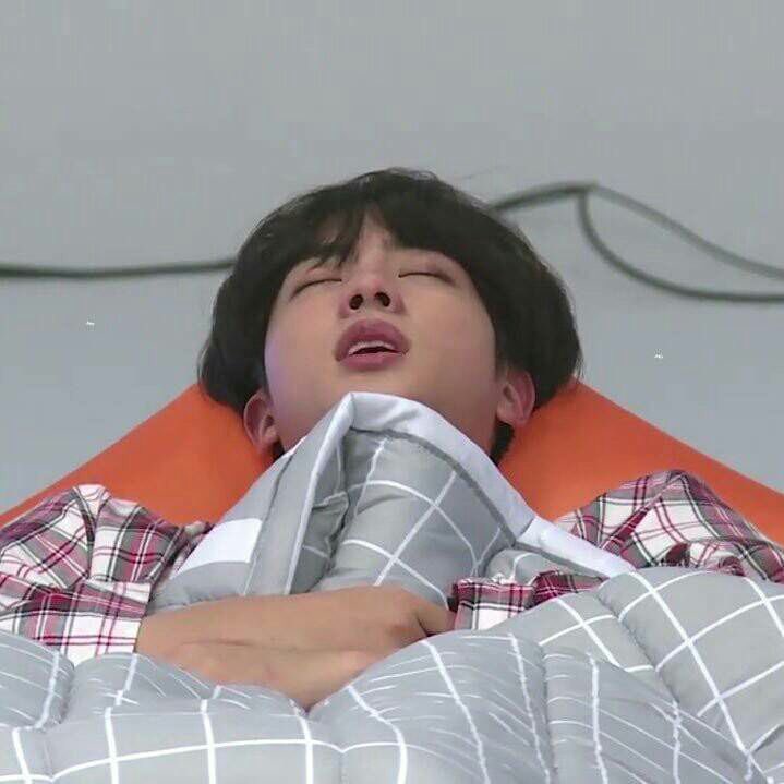 sleeping darlings :’)  #JIN  #SEOKJIN  #BTS    #방탄소년단    #진  @BTS_twt