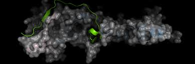 DeenaSierra1's tweet photo. #StructuralBiology #Conference 2020 #Organizing Committee is absolutely delighted to #invite you to the #StructuralBiology Conference which will be held in Spain on 28-29 #September2020
#SequencingAnalysis
#HybridapproachesinStructureprediction
#StructuralBioinformatics https://t.co/0vnKcEdKEy