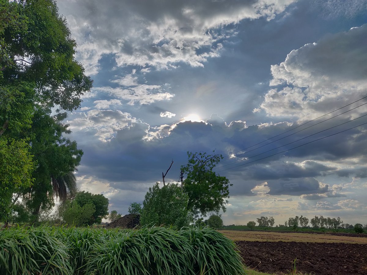 Shubham6096's tweet photo. #MyBestFarmClick  😉 https://t.co/SbYWWdDr3p