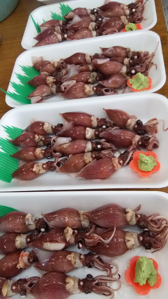 大野屋鮮魚店 鮮魚 食品 目玉三個目 大粒 ボイルほたるいか は富山産 いや 今日のほたるいかは でっけぞい 富山湾の春の使者 酒の肴に ぜひ 大野屋鮮魚店 鮮魚 食品 目玉三個目 大粒 ボイルほたるいか は富山産 いや 今日のほたるいかは でっけぞい 富山湾の春の使者 酒の肴に ぜひ