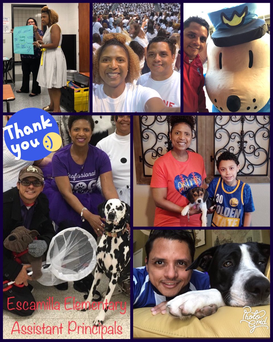 CSaenZ1506's tweet photo. We are lucky to have these amazing examples of true leadership @Escamilla_AISD   @icalbrecht @RodrigoLoRe_TX @AldineISD #APWeek2020 https://t.co/CnQTDB3Z4G
