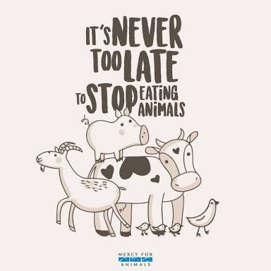 prithvisrg's tweet photo. Never kill Animals for eating meat, they are entitled to Live, not born to be killed.
Don't talk of love and peace when you have a dead Animal in you plate.

Be vegetarian..

#Never_Eat_Meat https://t.co/YEN5C0p4xE