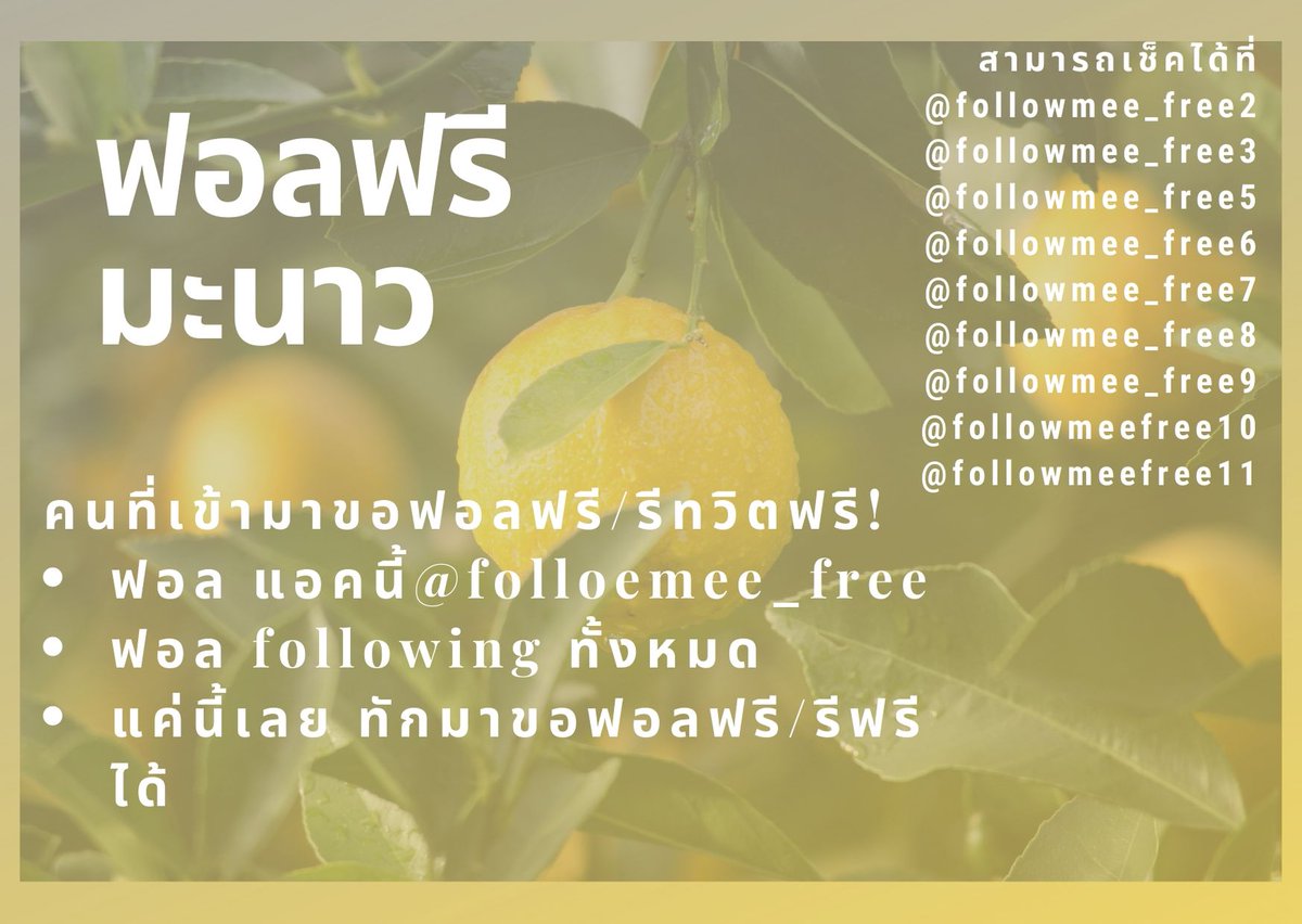 ฟอลฟรีมะนาว 🍋8 แอค tweet media