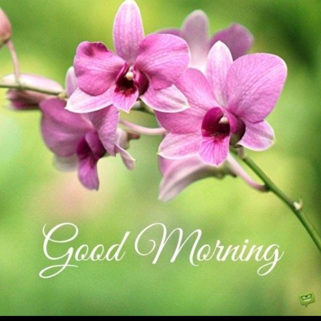 To54442170's tweet photo. #GoodMorning 
#11april
#StressAwarenessMonth https://t.co/CNJENhdRna