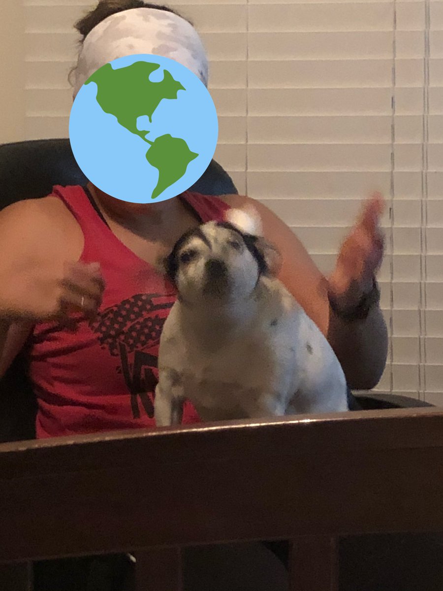 attempt  #1 of balancing the cotton ball on his head: unsuccessful