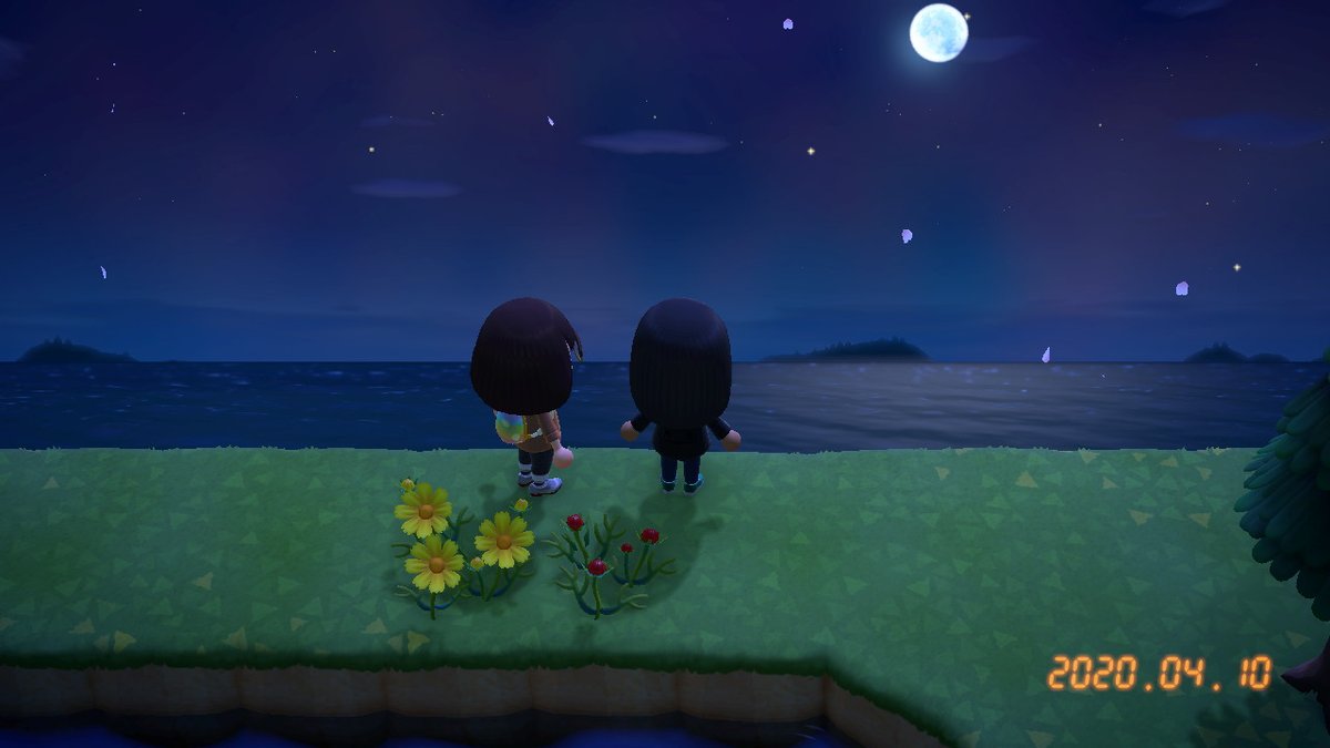 ActuallyShan's tweet photo. #动物森友会 #AnimalCrossing #ACNH #NintendoSwitch https://t.co/HAtUaIm3US
