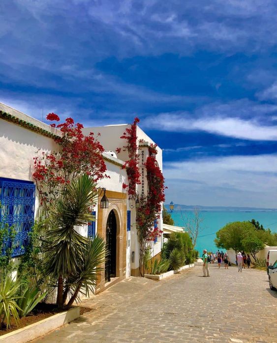[THREAD] The diversity of Tunisian architectureTunisia is often only architecturally associated with the stereotypical white houses with blue doors and windows typically found in coastal cities and embodied by Sidi bou Said.But Tunisian architecture is more.Sidi Bou Said: