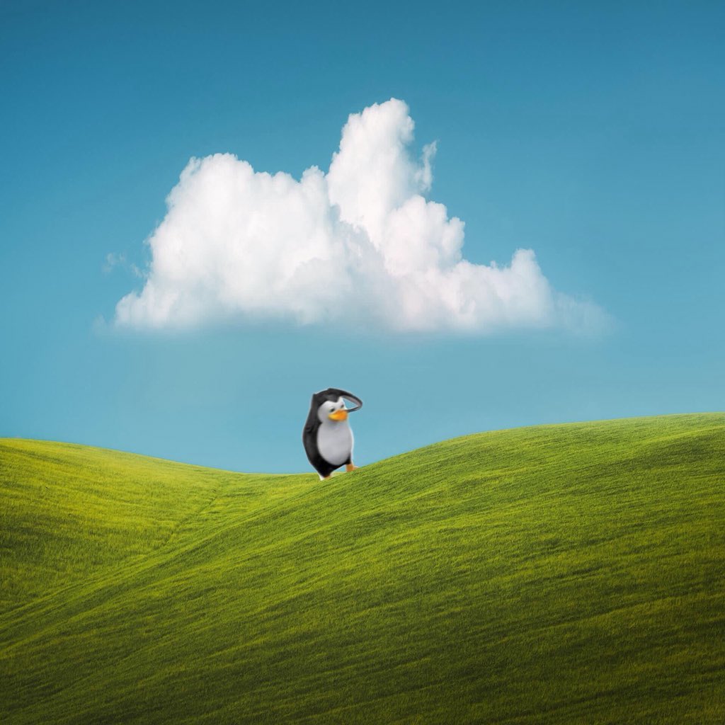 𝓗𝒂𝒎𝒂𝒕𝒐, 𝓓𝒐𝒏𝒂𝒕𝒆𝒍𝒍𝒐 ( S-H ) (@brainstormism) on Twitter photo 