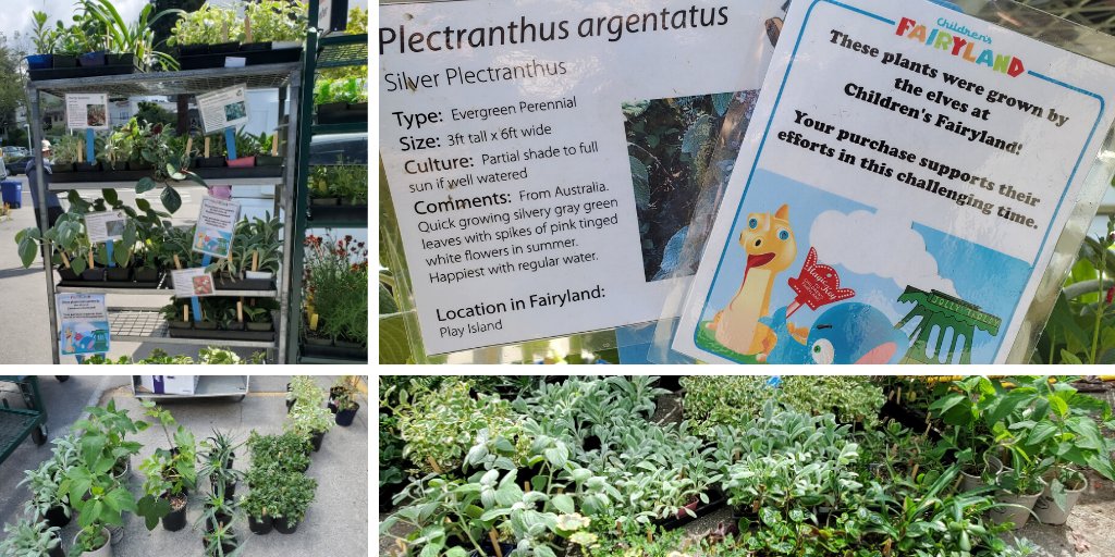 Children S Fairyland On Twitter Remember Last Week When We Tried An Honor System Plant Sale Well Let S Just Say Someone Got Some Swell Plants For Free So Now You Can Get Fairyland Grown