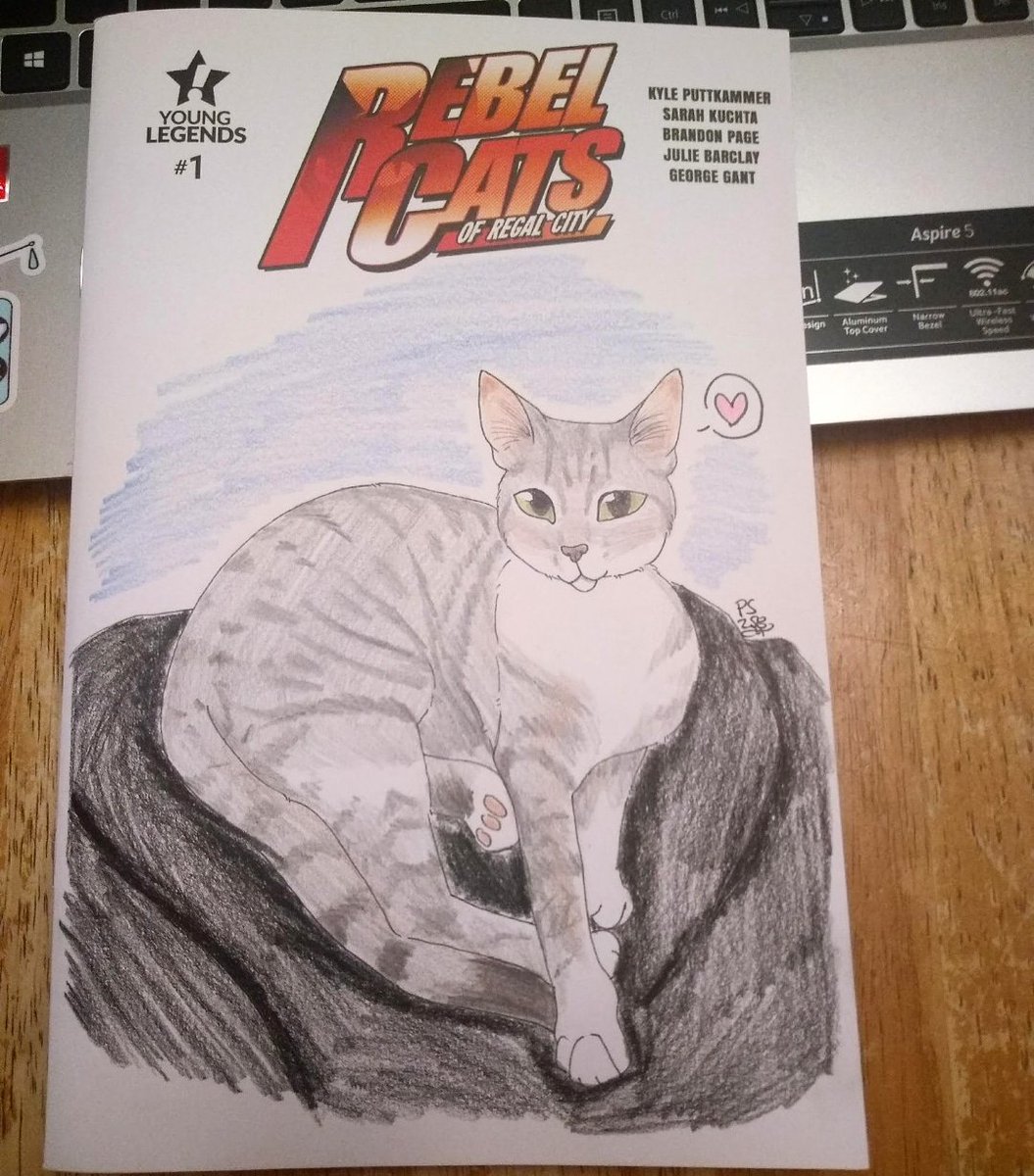 HeroCatComics's tweet photo. Fan Friday! #herocatsonline #rebelcatsofregalcity #cats #comics #fanfriday https://t.co/T6tE6SHtYU