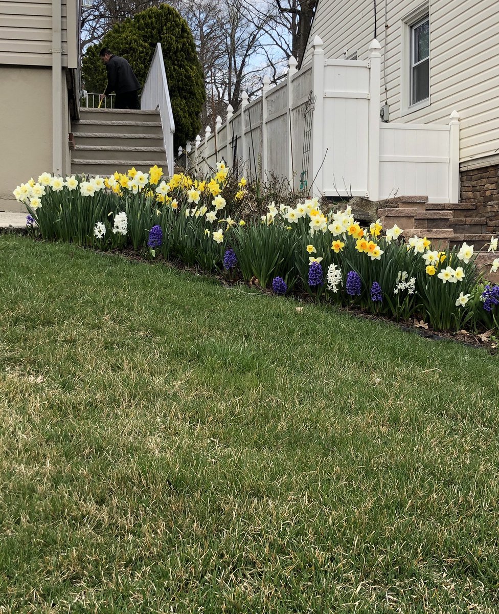 MaryFrancesH's tweet photo. #Spring https://t.co/0voiPEoZQ0