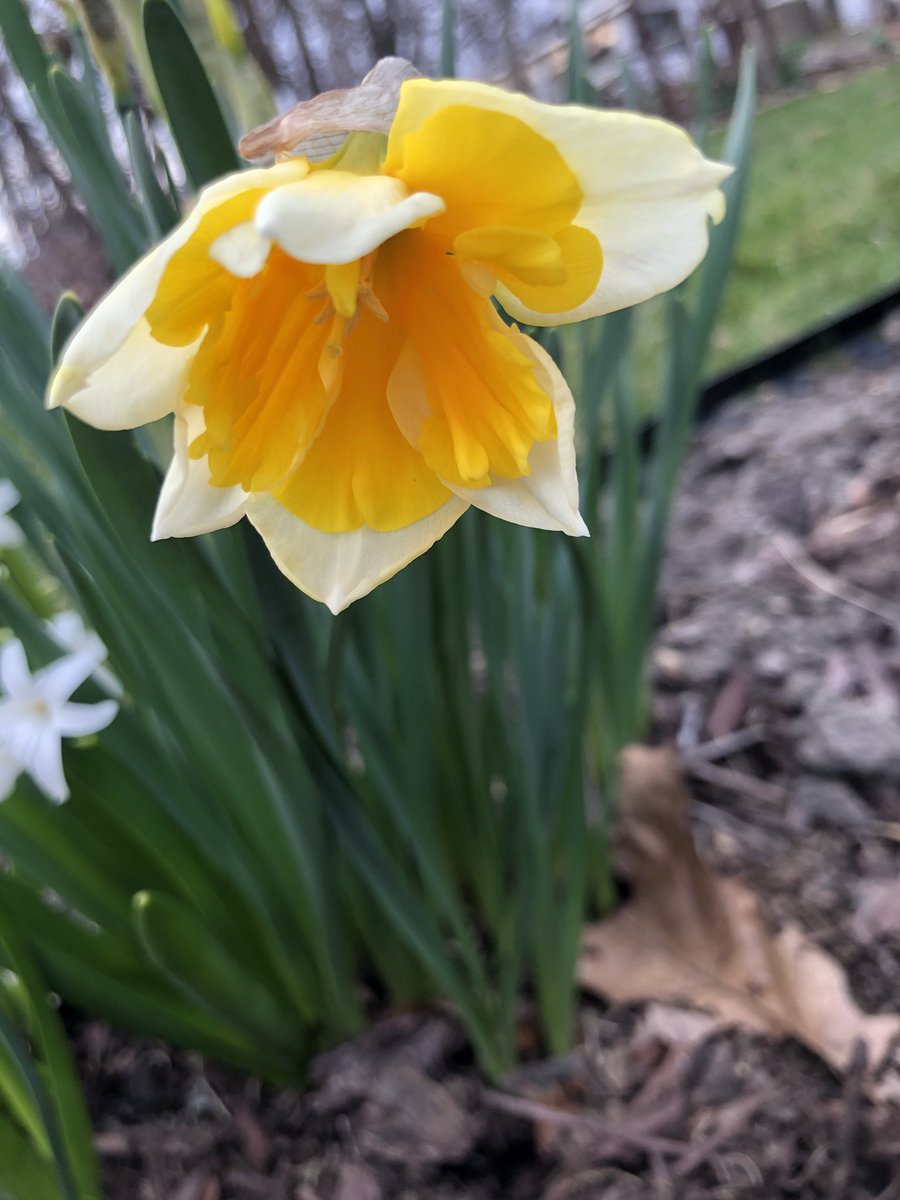 MaryFrancesH's tweet photo. #Spring https://t.co/0voiPEoZQ0