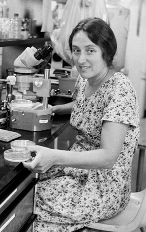 I’m thinking of Lynn Margulis today, a brilliant pugnacious scientist who made one of the most important discoveries in biology, endosymbiosis, but did not receive her due. She also lived in her first husband Carl Sagan’s shadow although her work was more important.