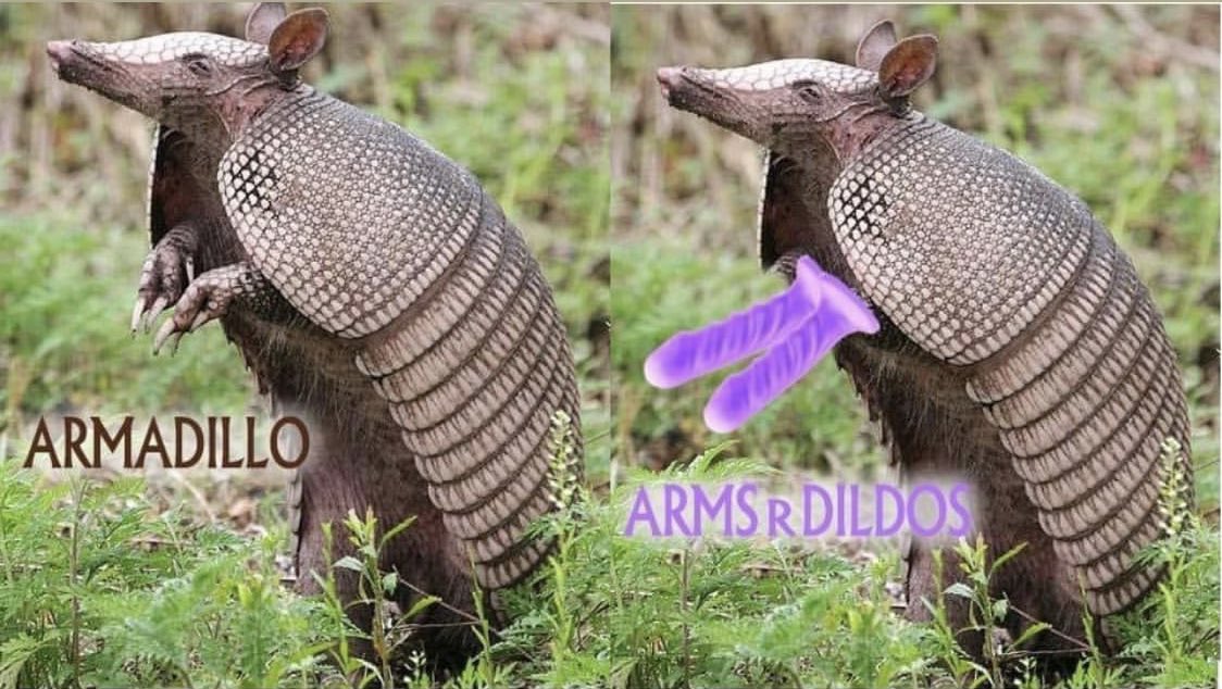 MBFJpodcast's tweet photo. @MikeyWess is getting a new pet! #dildo #dildos #armsrdildos https://t.co/POKk1Y045L