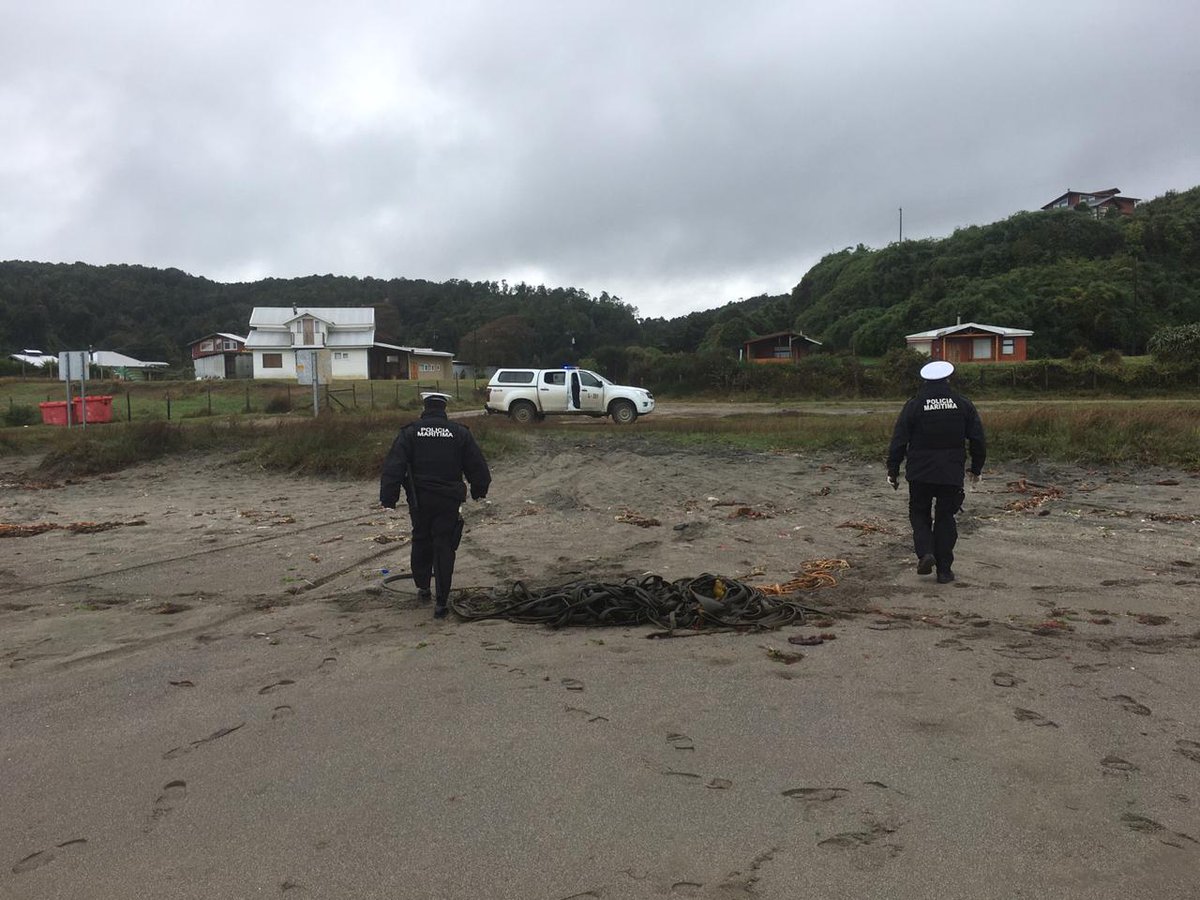 Municipalidad de Maullín tweet media