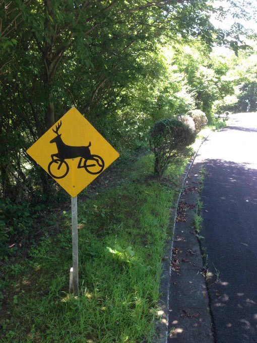 ちょっと遭遇してみたい？www何が飛び出してくるのかよく分からない標識www