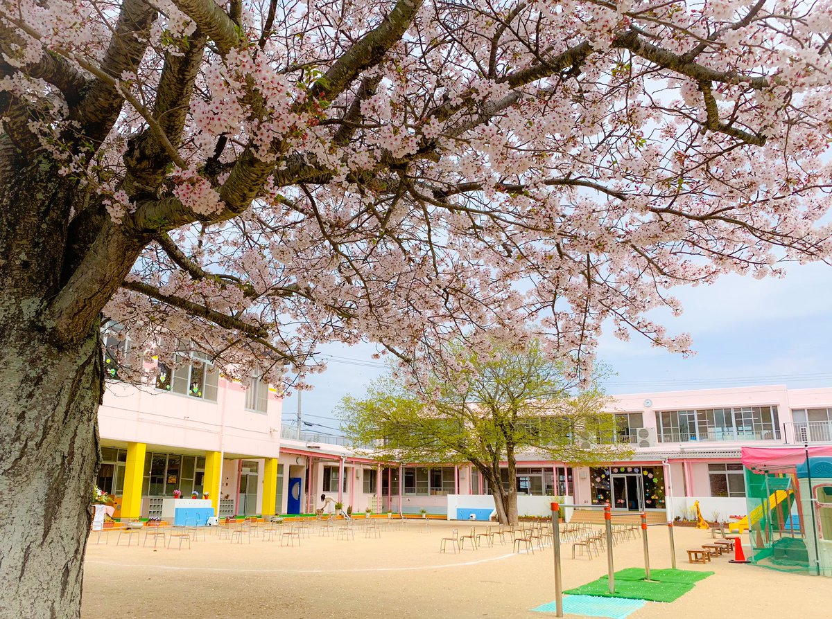 片柳弘史 On Twitter 今日は高千帆小百合幼稚園の入園式 ちょっと寒いですが 外で開催します 桜も咲いて 喜びいっぱいです O O