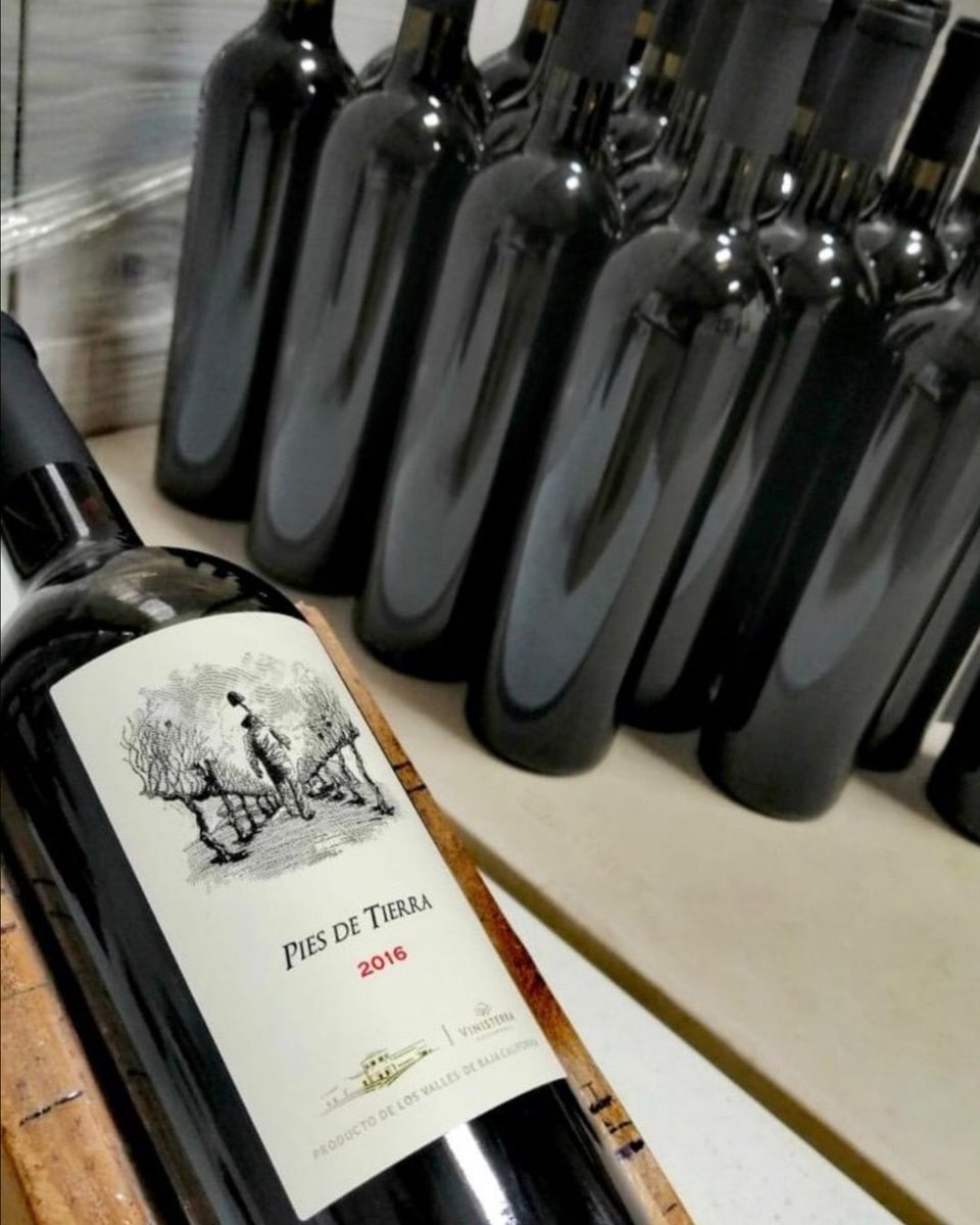 Seguimos trabajando, ahora en nuestro etiquetado el cual consiste en un proceso manual.
.
.
.
Ventas : vinisterratienda.com 
15% descuento y envío SIN costo. .
.
#quedateencasa #vinisterra #vinoconpiesdetierra #vinomexicano #tomavinomexicano #cuarentena
