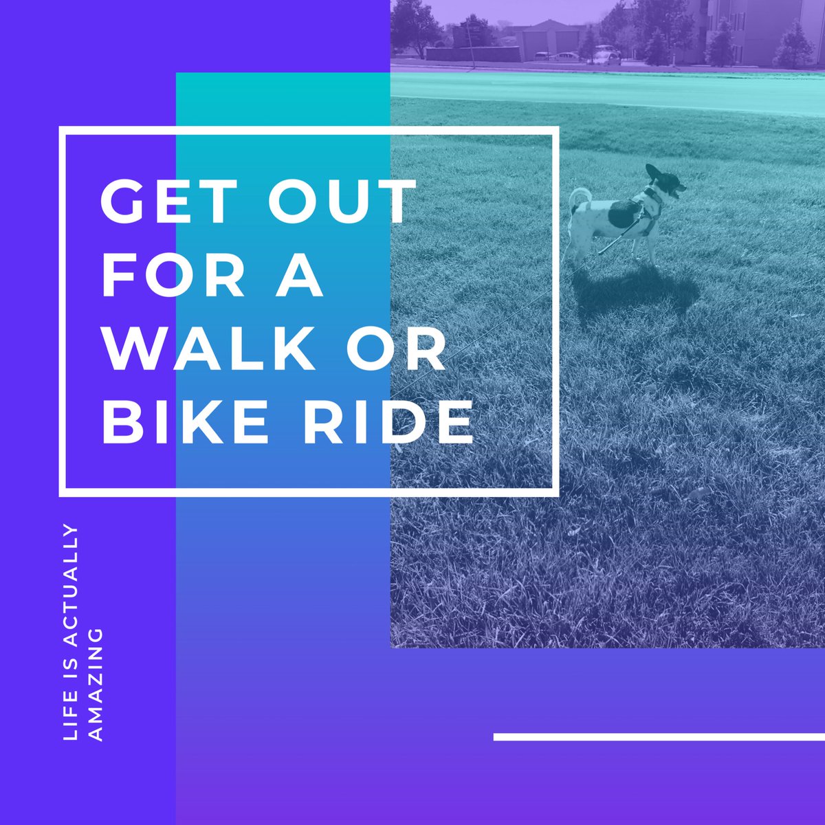 LifeIsActually1's tweet photo. Day 10 #april #quarantinelife #selfcare is get out &amp; enjoy a nice walk or bike ride - just remember #6feetapart 👍 Getting out for a little fresh air can help boost your mood and the exercise will feel great after staying indoors. Hope everyone has a great #weekend #stayhealthy https://t.co/340yqbGmhJ