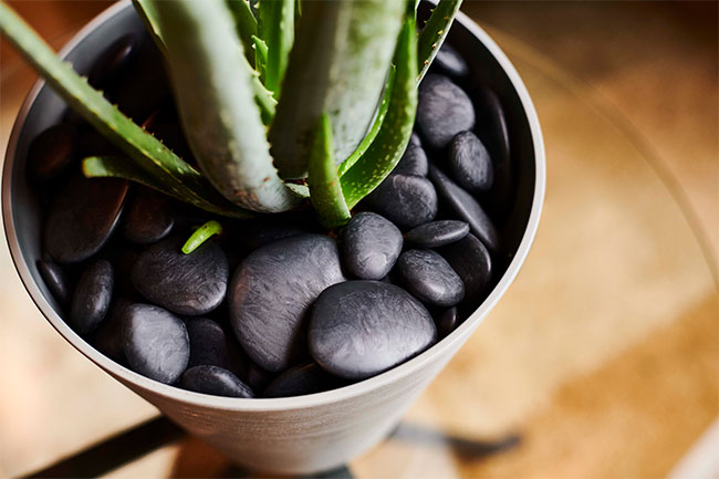 ケイシン株式会社 新商品入荷 リサイクルストーン 敷き詰めるだけで手軽に植物のイメージチェンジをお楽しみいただけるリサイクル ストーンです 軽くて扱いやすい樹脂製です 洗うのも簡単なので 清潔感があり衛生的にご使用いただけます リサイクル