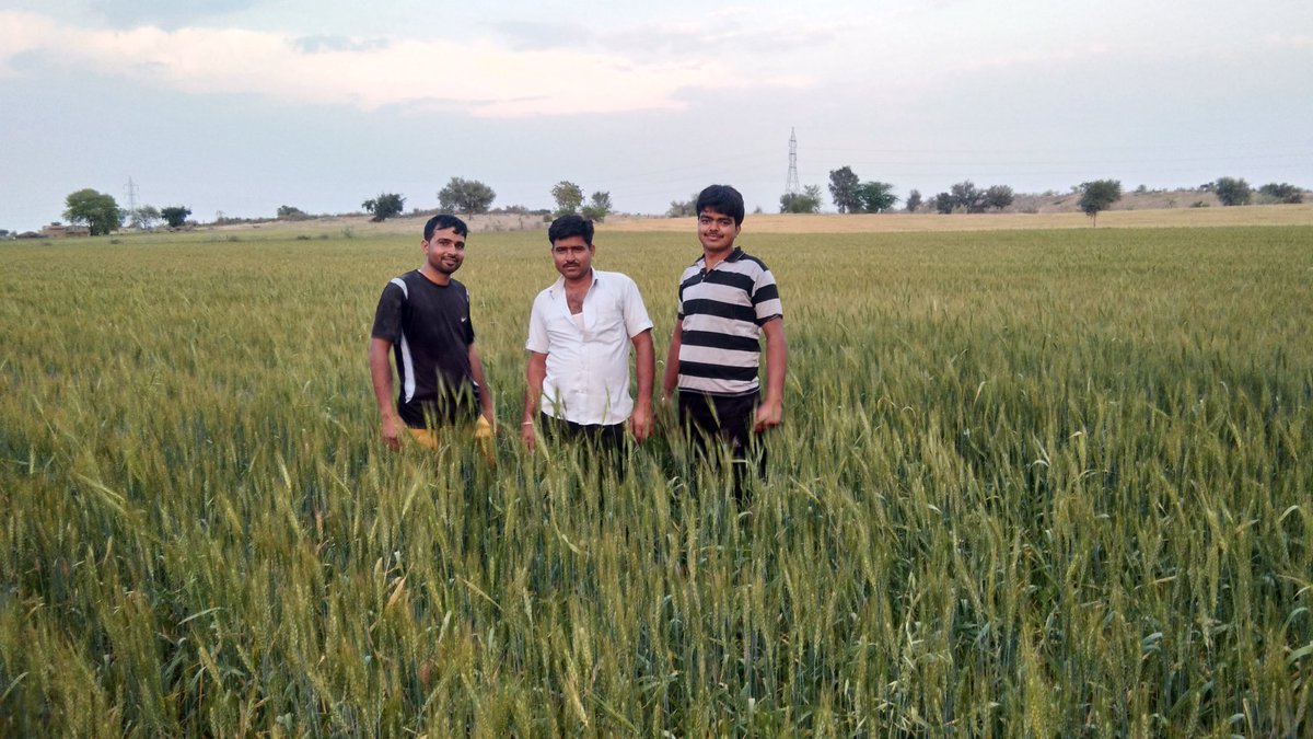 LaxmanG95939002's tweet photo. किसान का बेटा हूं,परफ्यूम की खुशबू से ज्यादा पसीने की खुशबू अच्छी लगती है। #किसान बचेगा तो यह देश बचेगा।
#राम_राम सा। #सुप्रभात #रालोपा #परिवार
#RLP #TeamRLP 
#TuesdayMotivation
#tuesdayvibes #DrVM
@RLPSdgh @RLPINDIAorg  @DrVivekMachra_  @Vijay_Beniwal @Mamta_rajput1 https://t.co/dhm92ZAM0w