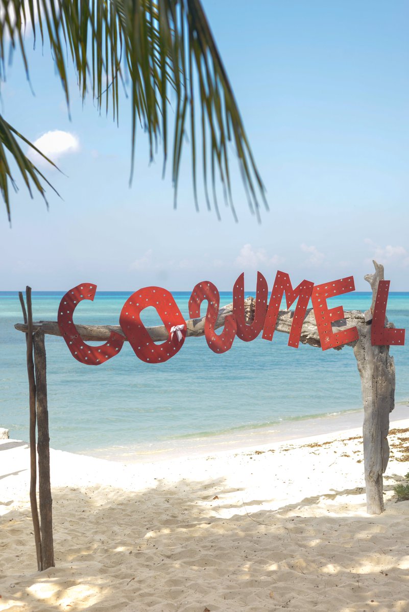 TravelMayan's tweet photo. Muy pronto estaremos nadando en tus aguas y tus arrecifes
#QuedateEnCasa #cozumel #Mexico #travel #MayanTravelMagazine #photography #lifestyle https://t.co/PuVPvNoUPg