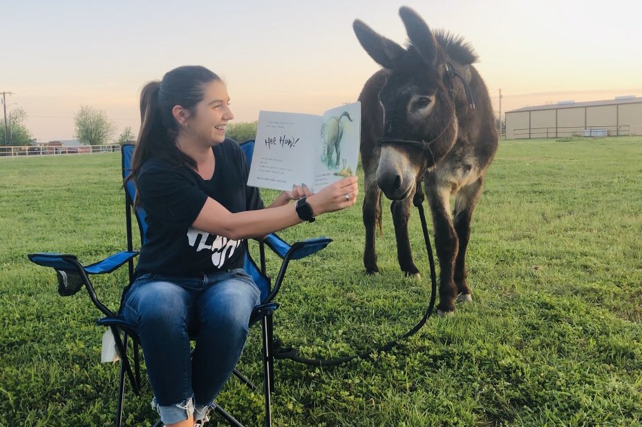 PreKwithMrsA's tweet photo. To end farm week I read aloud The Wonky Donkey with my donkey, Bucky! @brookbears @WFISDschools @wfisdearlylearn #prek #ecse #virtualteaching #iamWFISD #bebold https://t.co/cWFF1a9yzZ