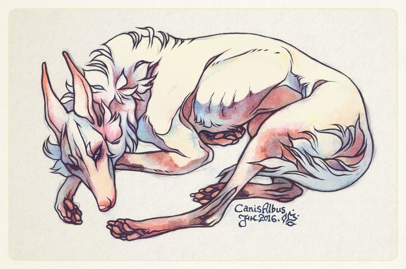 @nataliehall I can't go without giving this a try. Here's my sad lad Machete! Thank you for the opportunity ? 