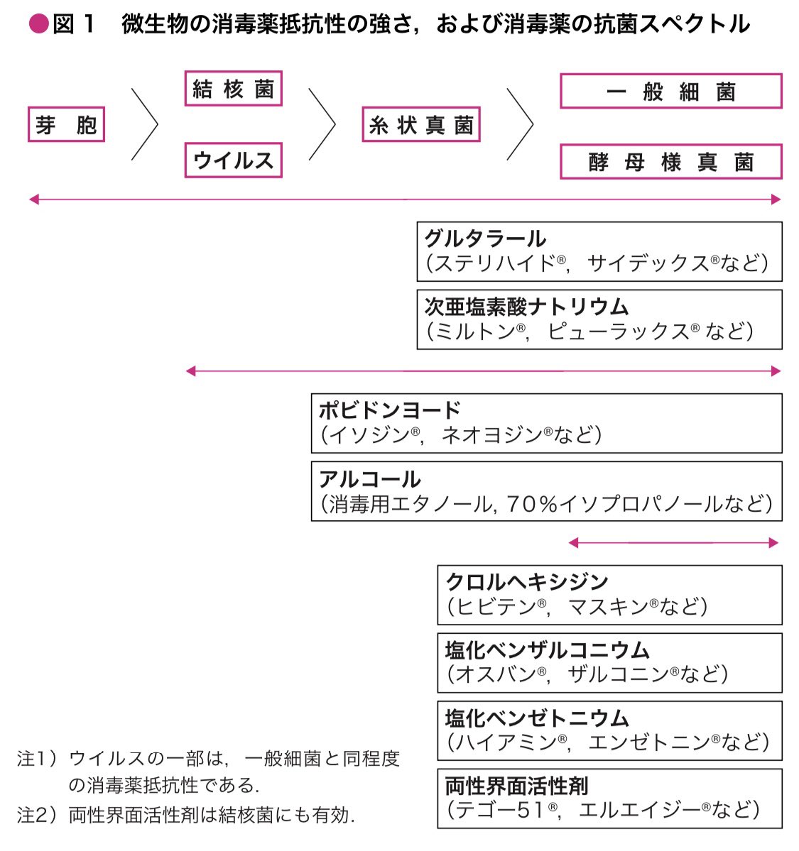 Haruyaku Sakura Ne Jp